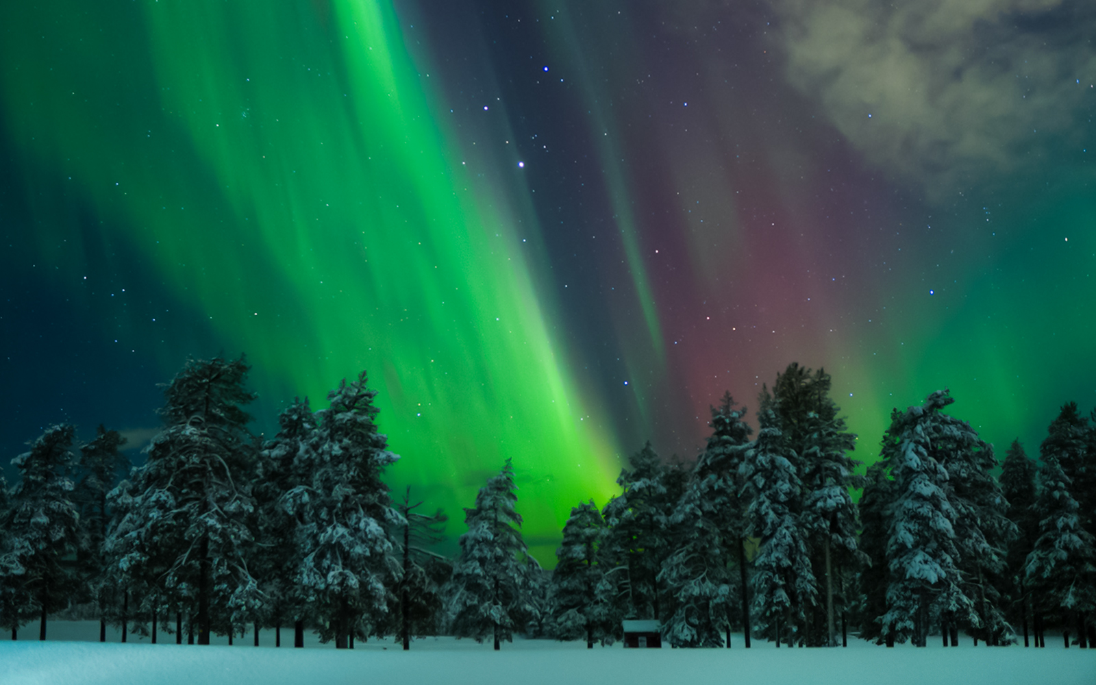 Levi: Northern Lights Chase Tour tickets in Rovaniemi - Features | TickYourList
