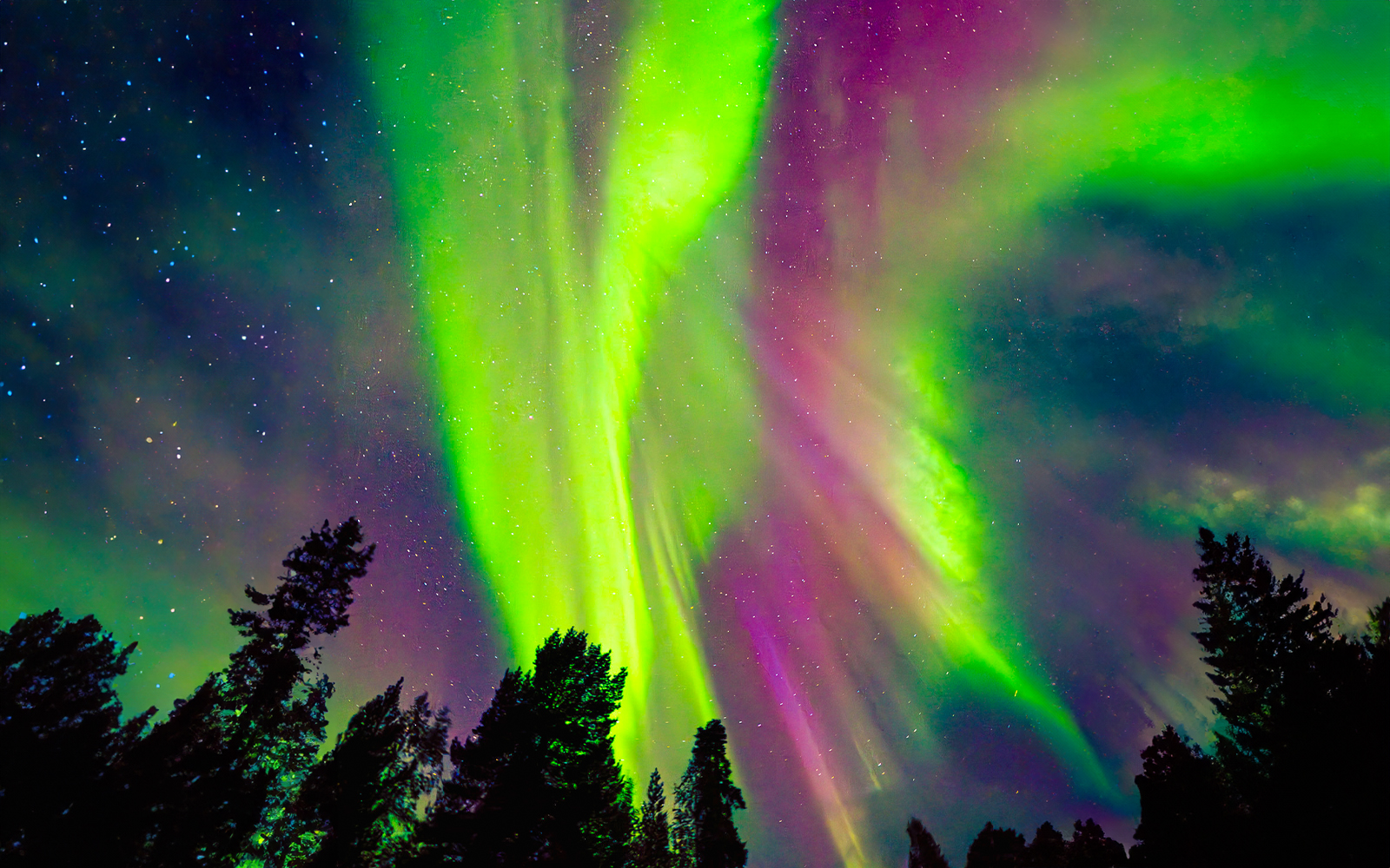 From Rovaniemi: Aurora Pro Photography Expedition tickets in Rovaniemi - Activities | TickYourList