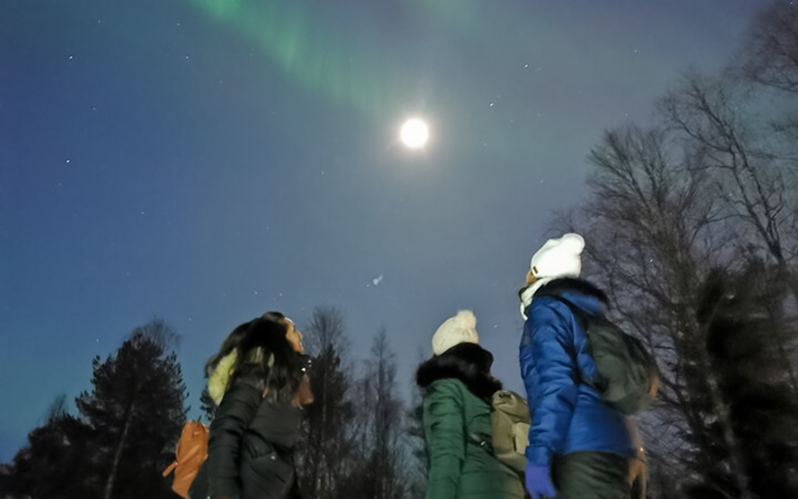 Day and Evening Tour – Santa's Pets, Sledding & Aurora Hunt tickets in Rovaniemi - Highlights | TickYourList