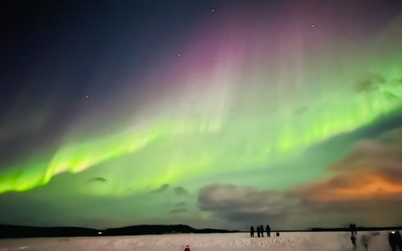 Day and Evening Tour – Santa's Pets, Sledding & Aurora Hunt tickets in Rovaniemi - Features | TickYourList