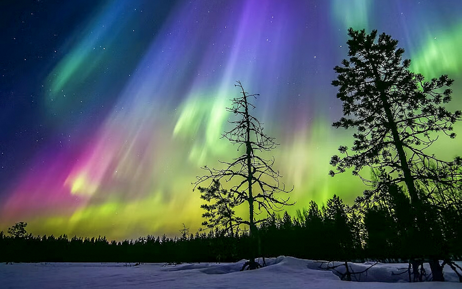 Rovaniemi: Northern Lights Sauna Experience tickets in Rovaniemi - Activities | TickYourList