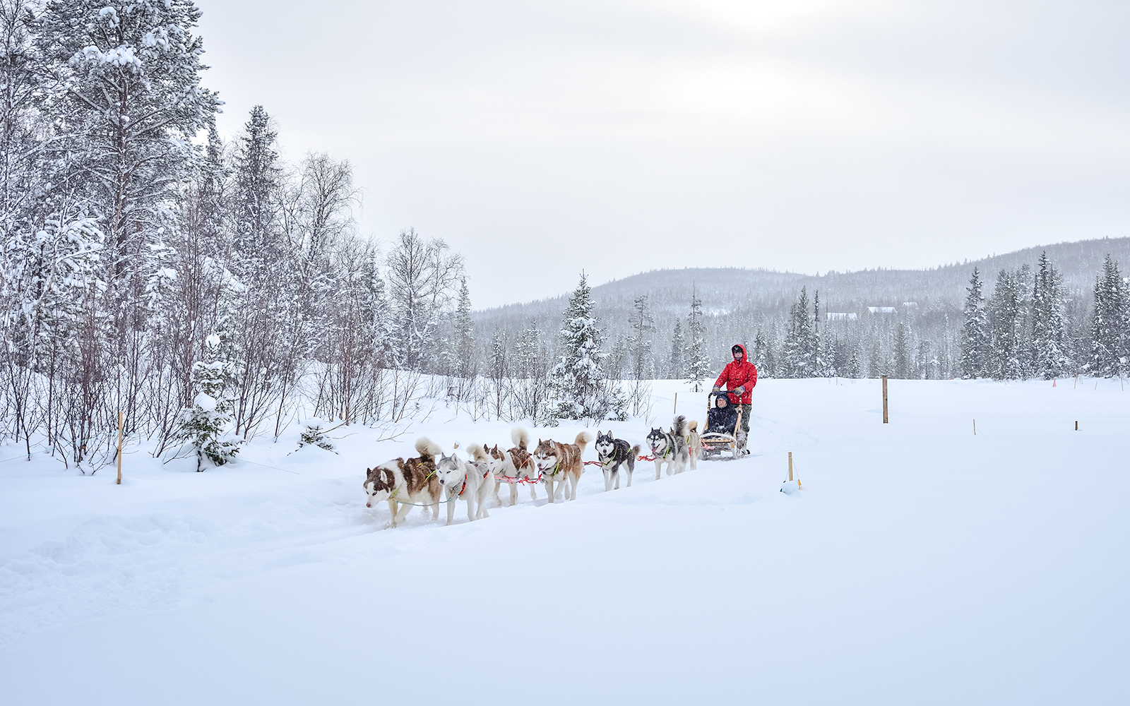 Meet Santa Claus, Reindeer Sleigh Ride & Huskies tickets in Rovaniemi - Highlights | TickYourList