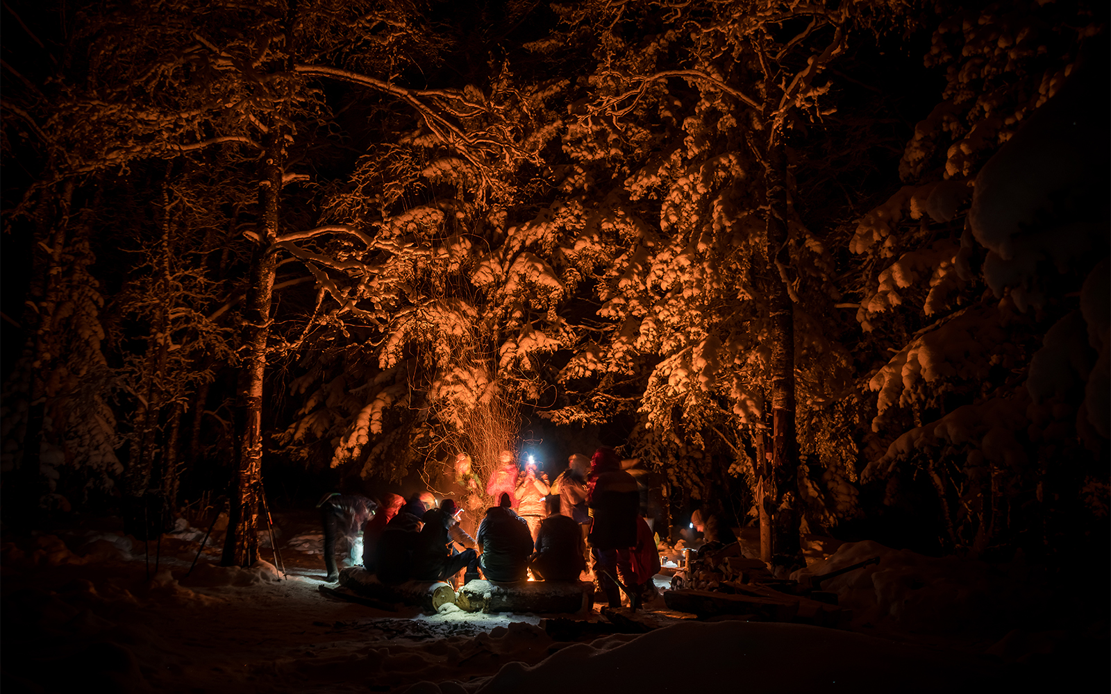 Rovaniemi: 3-Hour Northern Lights Adventure with Hotel Transfers tickets in Rovaniemi - Activities | TickYourList