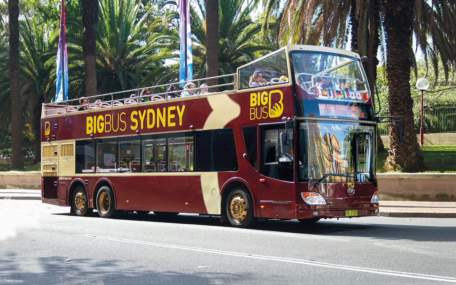 Combo: Blue Mountains Guided Day Tour + Sydney Hop-On Hop-Off Bus Tour tickets in Sydney - Activities | TickYourList