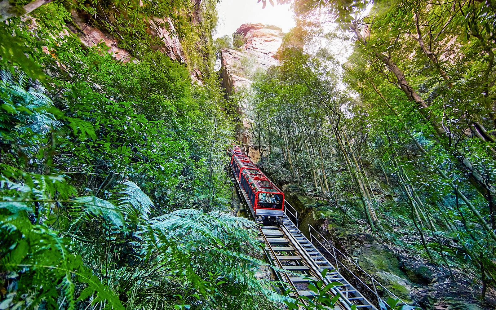 Blue Mountains Tour with Scenic World, Sydney Zoo & Koala Photo tickets in Sydney - Attractions | TickYourList