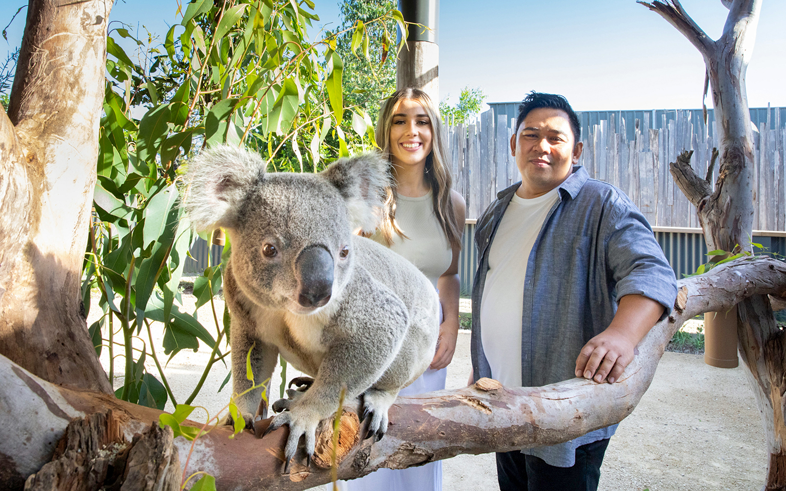 Blue Mountains Tour with Scenic World, Sydney Zoo & Koala Photo tickets in Sydney - Features | TickYourList