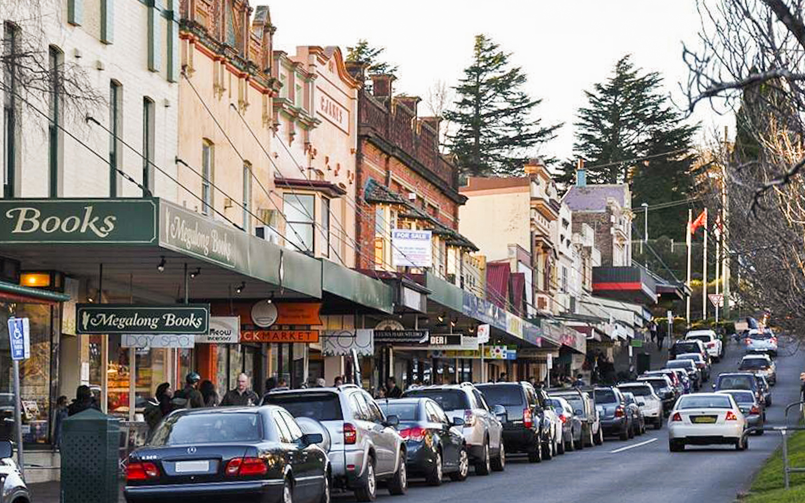 Blue Mountains Tour with Wentworth Falls, Guided Bushwalks & River Cruise tickets in Sydney - Features | TickYourList