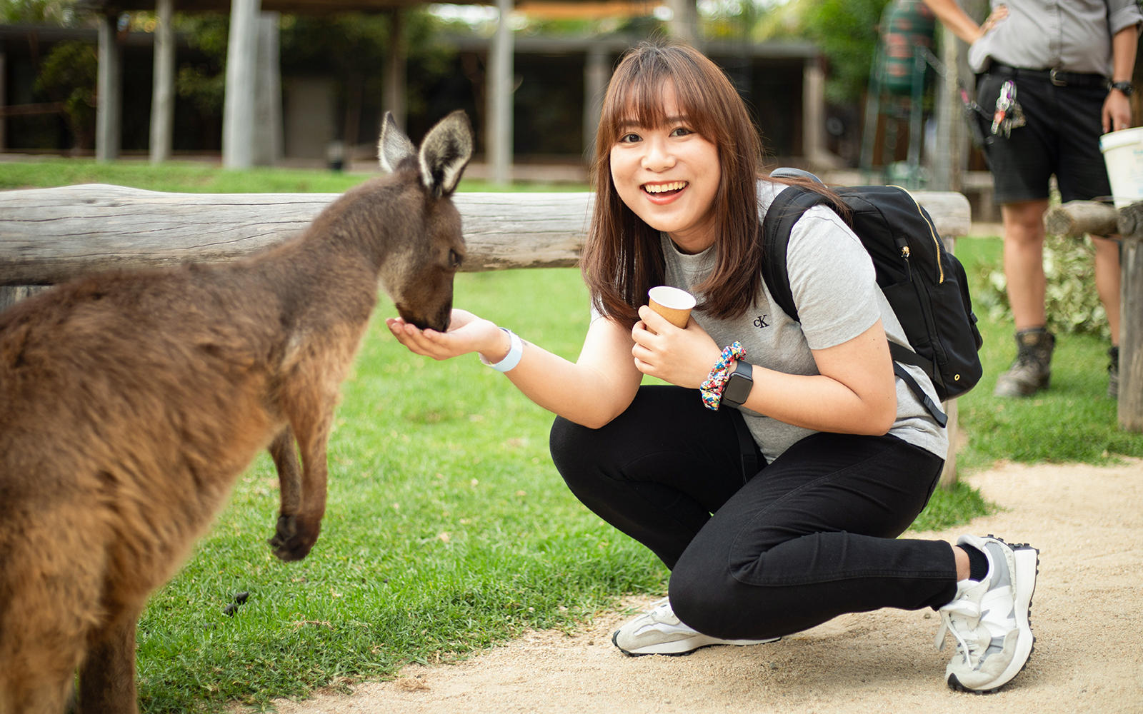 Blue Mountains Tour with Scenic World & Sydney Zoo tickets in Sydney - Attractions | TickYourList