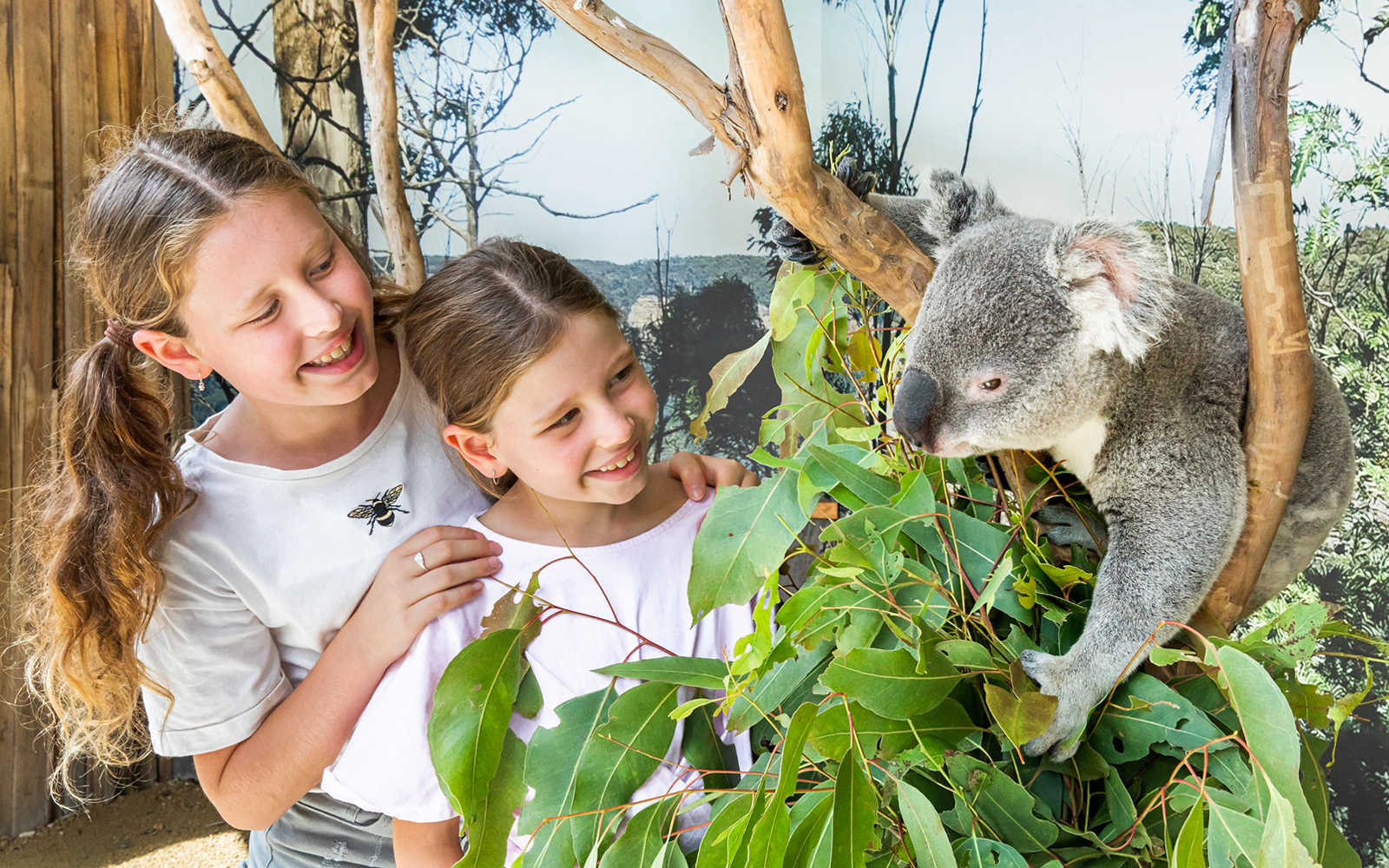 Blue Mountains Tour with Scenic World & Sydney Zoo tickets in Sydney - Activities | TickYourList