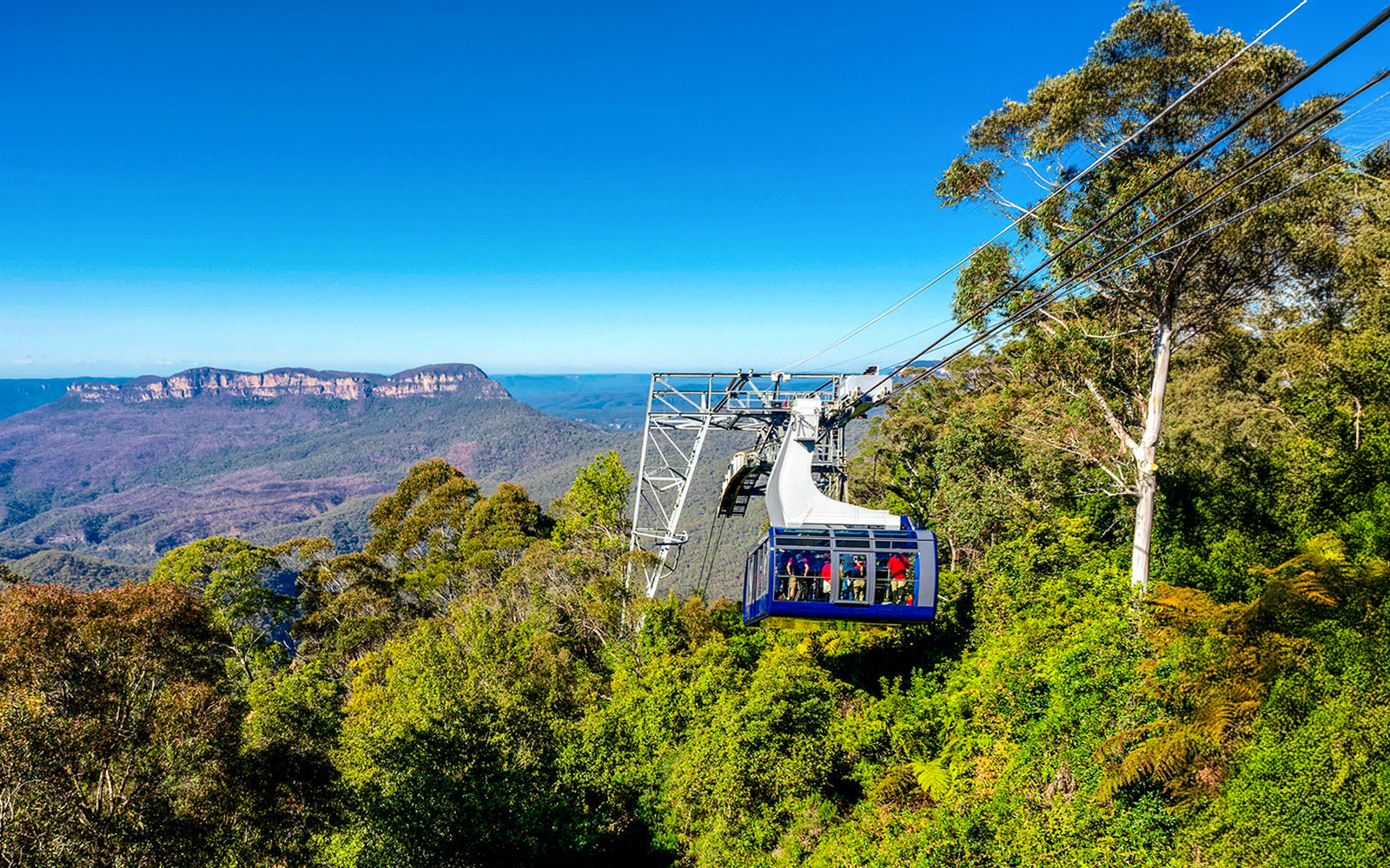 Blue Mountains Tour with Scenic World & Sydney Zoo tickets in Sydney - Highlights | TickYourList