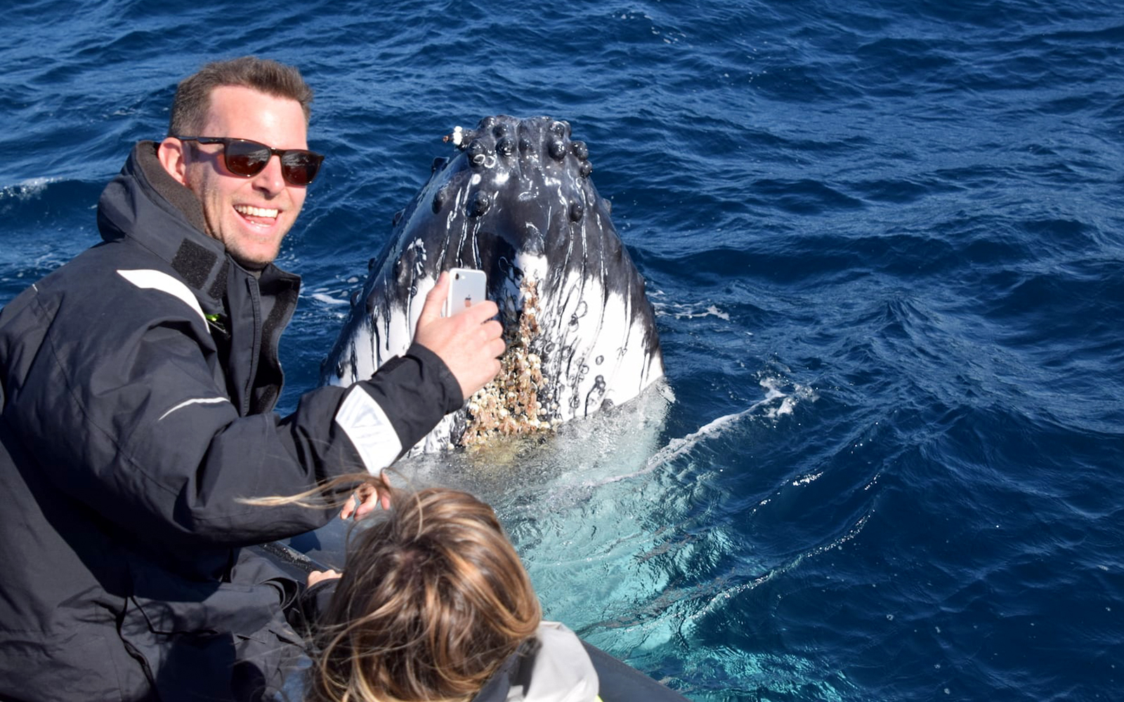 Sydney Whale Watching Inflatable Boat Cruise tickets in Sydney - Highlights | TickYourList