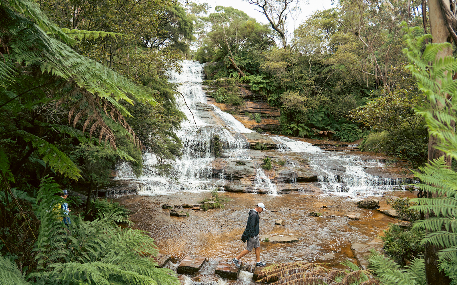 Blue Mountains 3-hour Army Truck Tour tickets in Sydney - Highlights | TickYourList