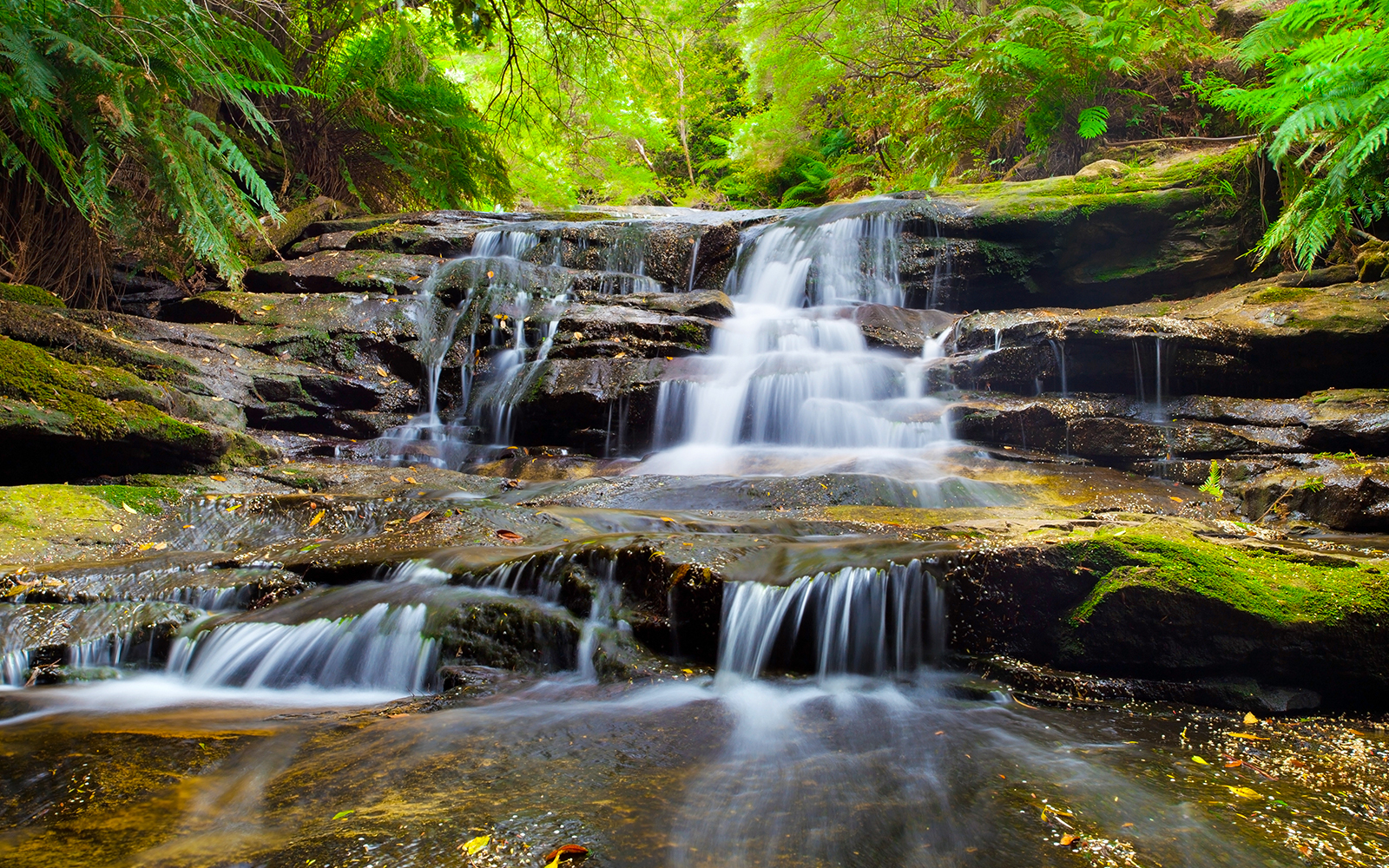 Blue Mountains 3-hour Army Truck Tour tickets in Sydney - Features | TickYourList