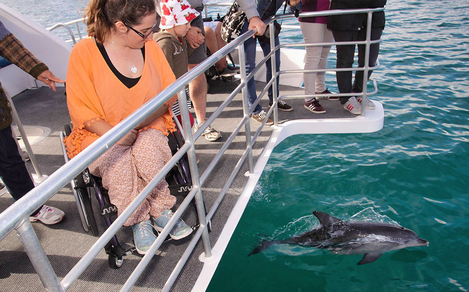 Jervis Bay Dolphin Watching Cruise tickets in Sydney - Attractions | TickYourList