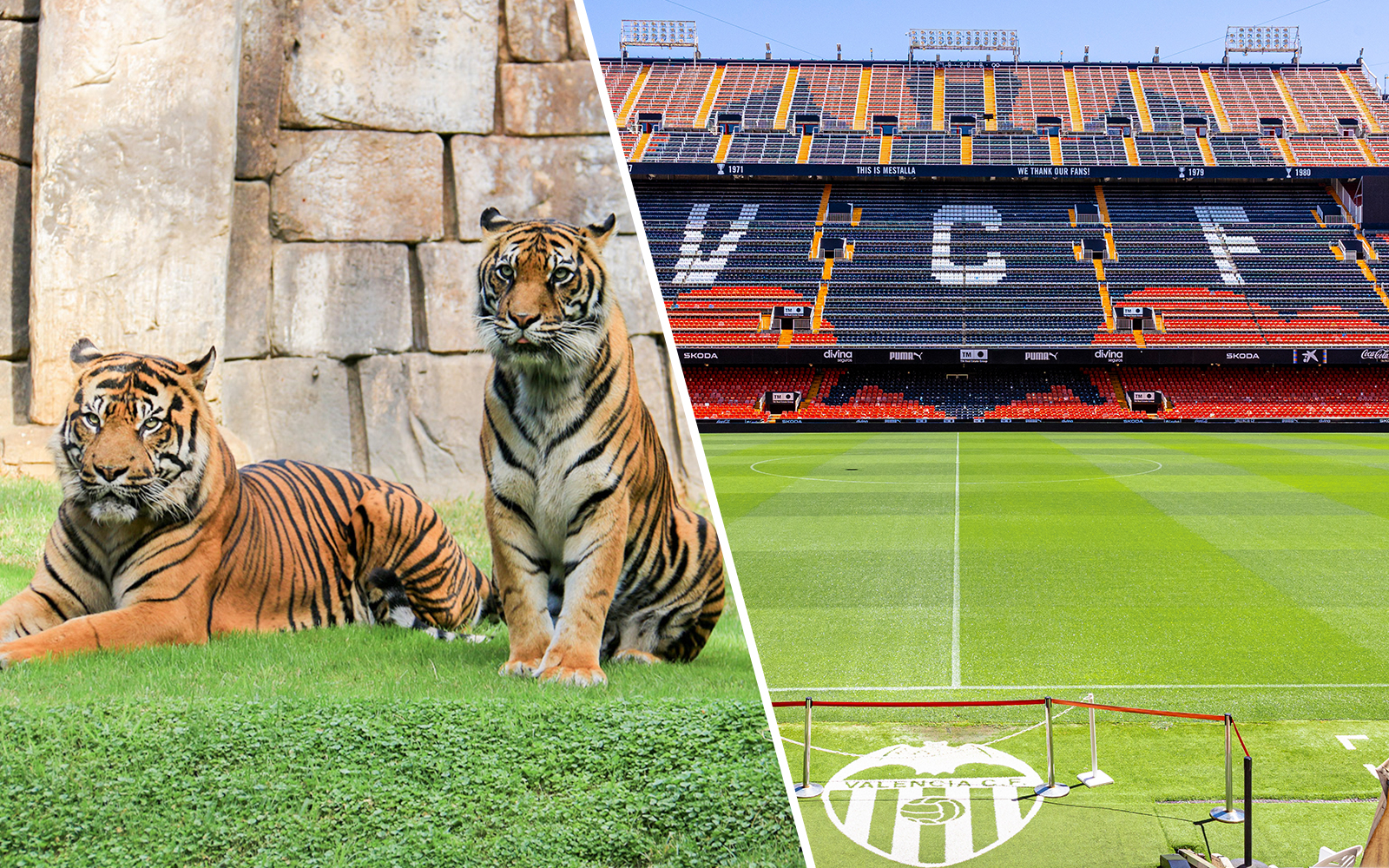 Combo (Save 5%): Bioparc Valencia Tickets + Mestalla Forever Tour