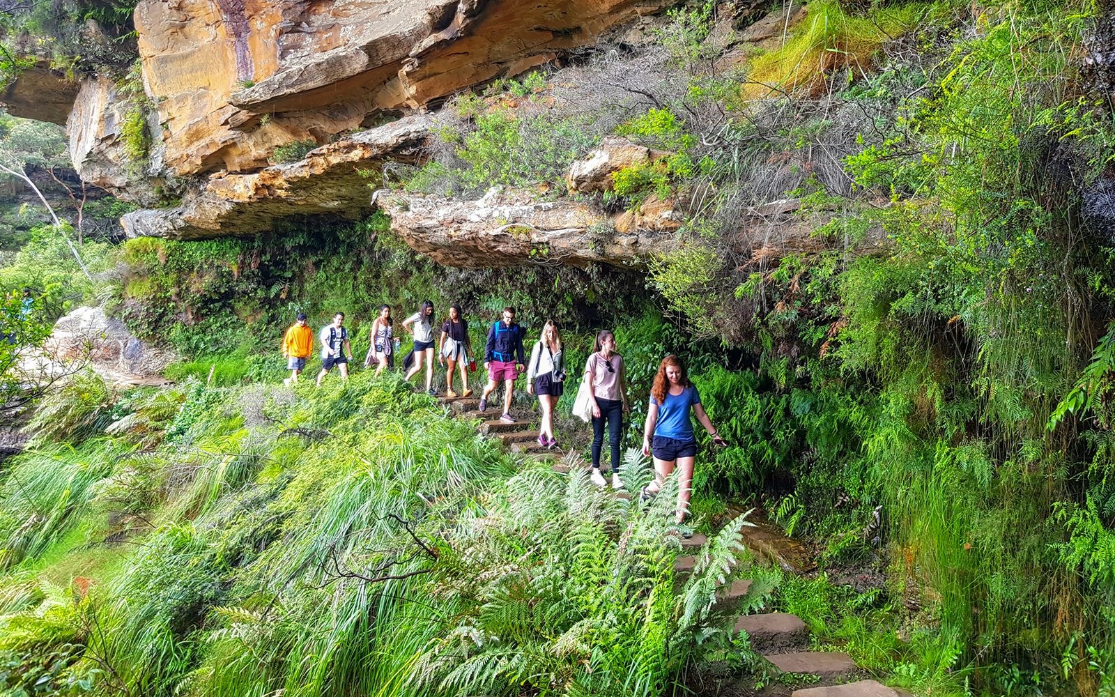 Blue Mountains Off the Beaten Path Guided Bushwalks, Secret Lookouts & BBQ Lunch tickets in Sydney - Activities | TickYourList