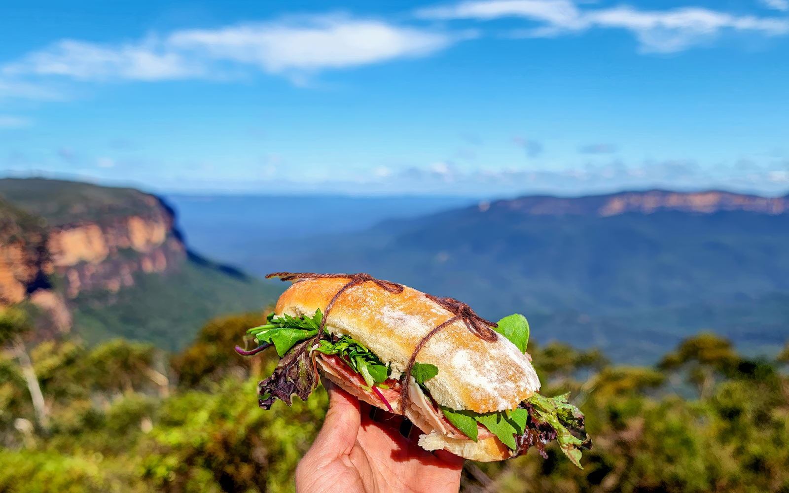 Blue Mountains Off the Beaten Path Guided Bushwalks, Secret Lookouts & BBQ Lunch tickets in Sydney - Highlights | TickYourList
