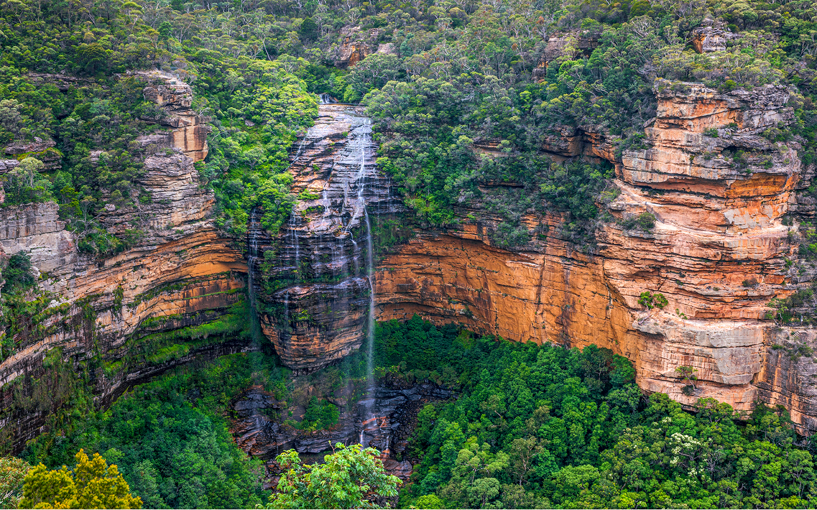 Blue Mountains Off the Beaten Path Guided Bushwalks, Secret Lookouts & BBQ Lunch tickets in Sydney - Features | TickYourList