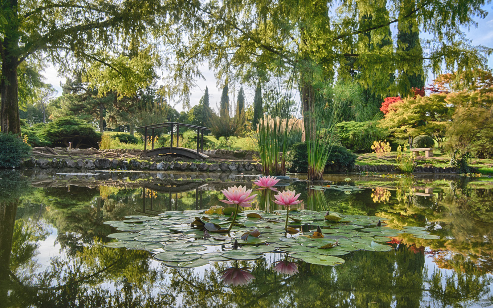 Combo: Parco Giardino Sigurtà + Verona Card with Arena Priority Tickets in Verona - Highlights | TickYourList