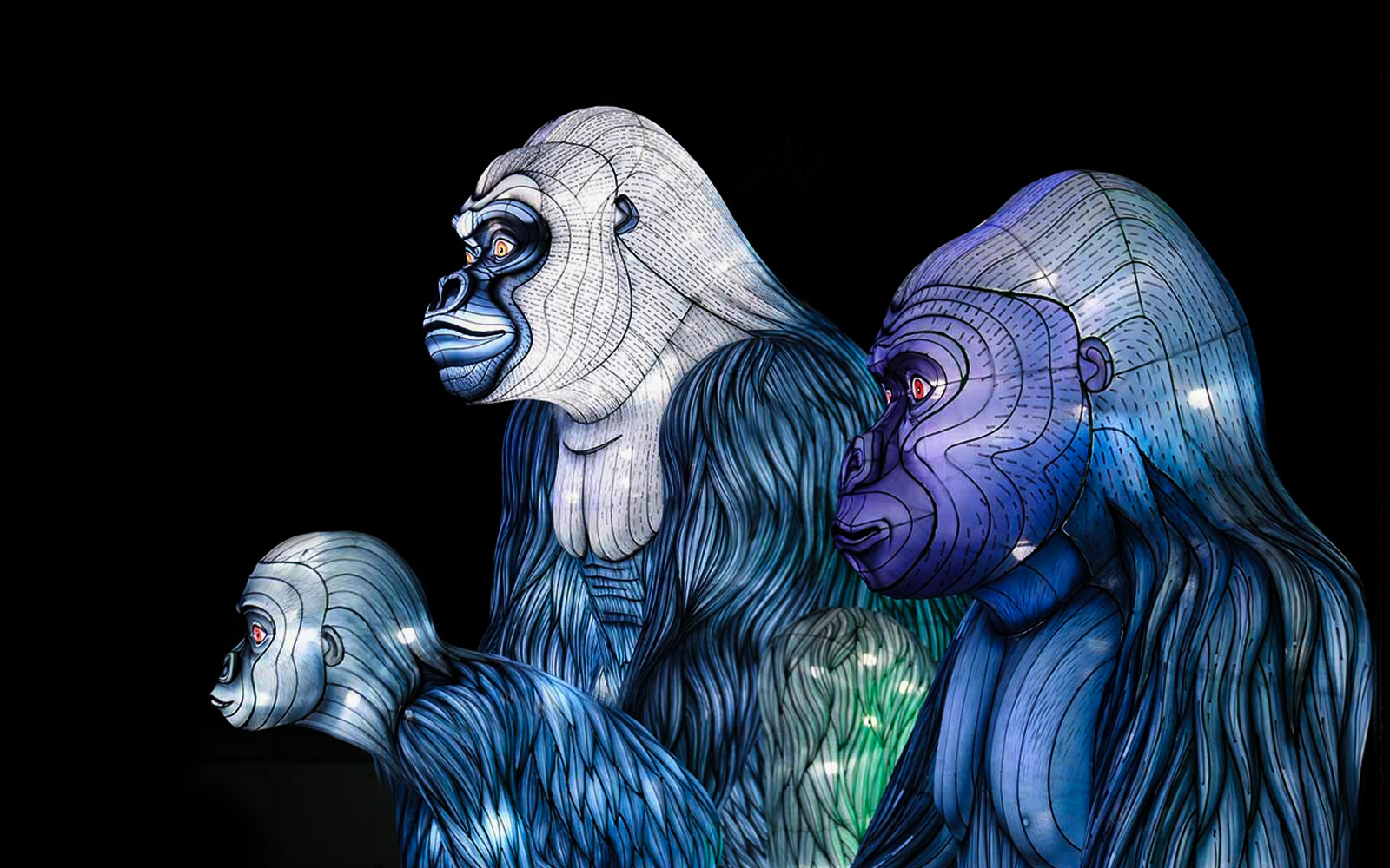 Vivid Sydney Glass Boat Dinner Cruise tickets in Sydney - Features | TickYourList