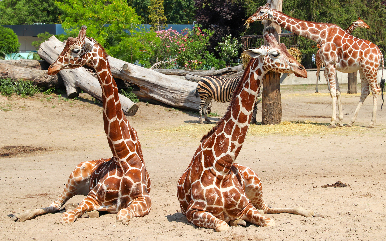 Wroclaw Zoo Skip-the-Line Tickets