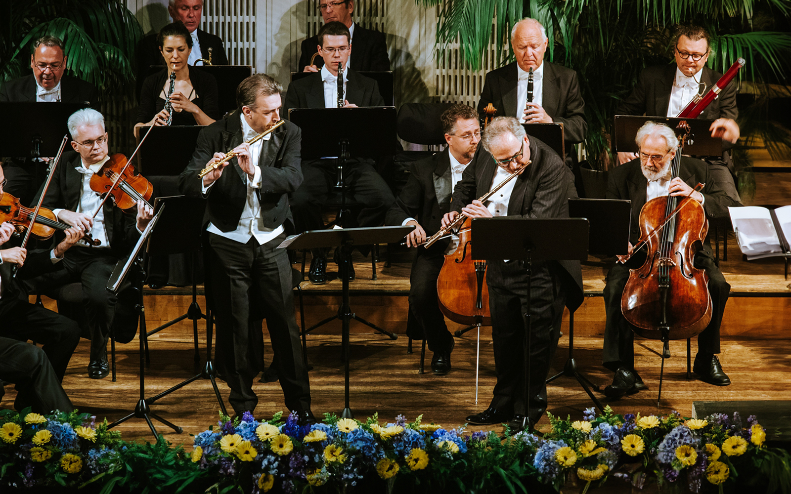 Hofburg Vienna: Strauss & Mozart Concert