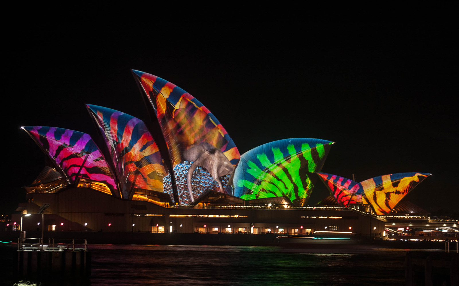 Vivid Sydney Cruise with Buffet Dinner & Complimentary Drink tickets in Sydney - Highlights | TickYourList