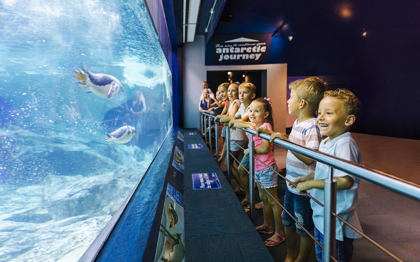 Unlimited 7-Day Theme Parks Pass: Movie World, Sea World, Wet'n’Wild & Paradise Country tickets in Gold Coast - Attractions | TickYourList