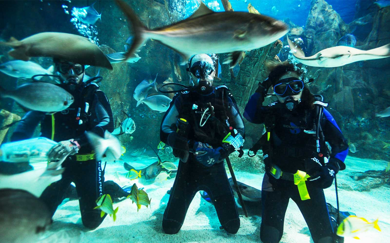 Sea Life Istanbul Ticket in Istanbul - Attractions | TickYourList