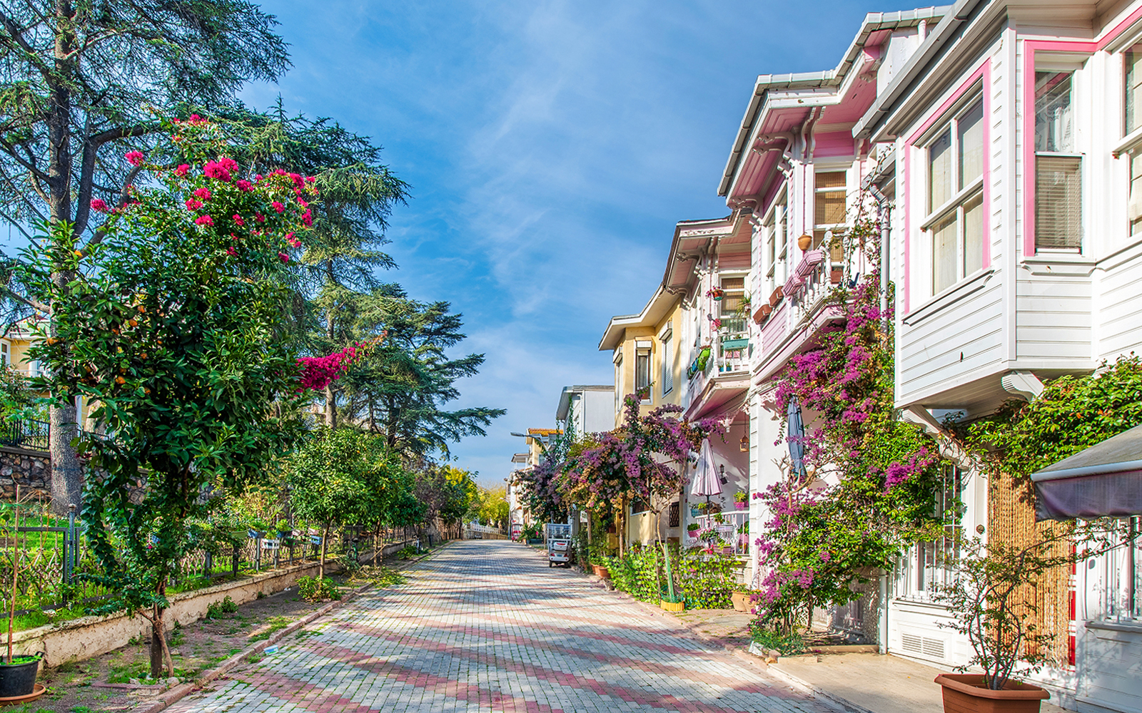 Istanbul to Princes' Islands Full-Day Guided Tour tickets in Istanbul - Attractions | TickYourList