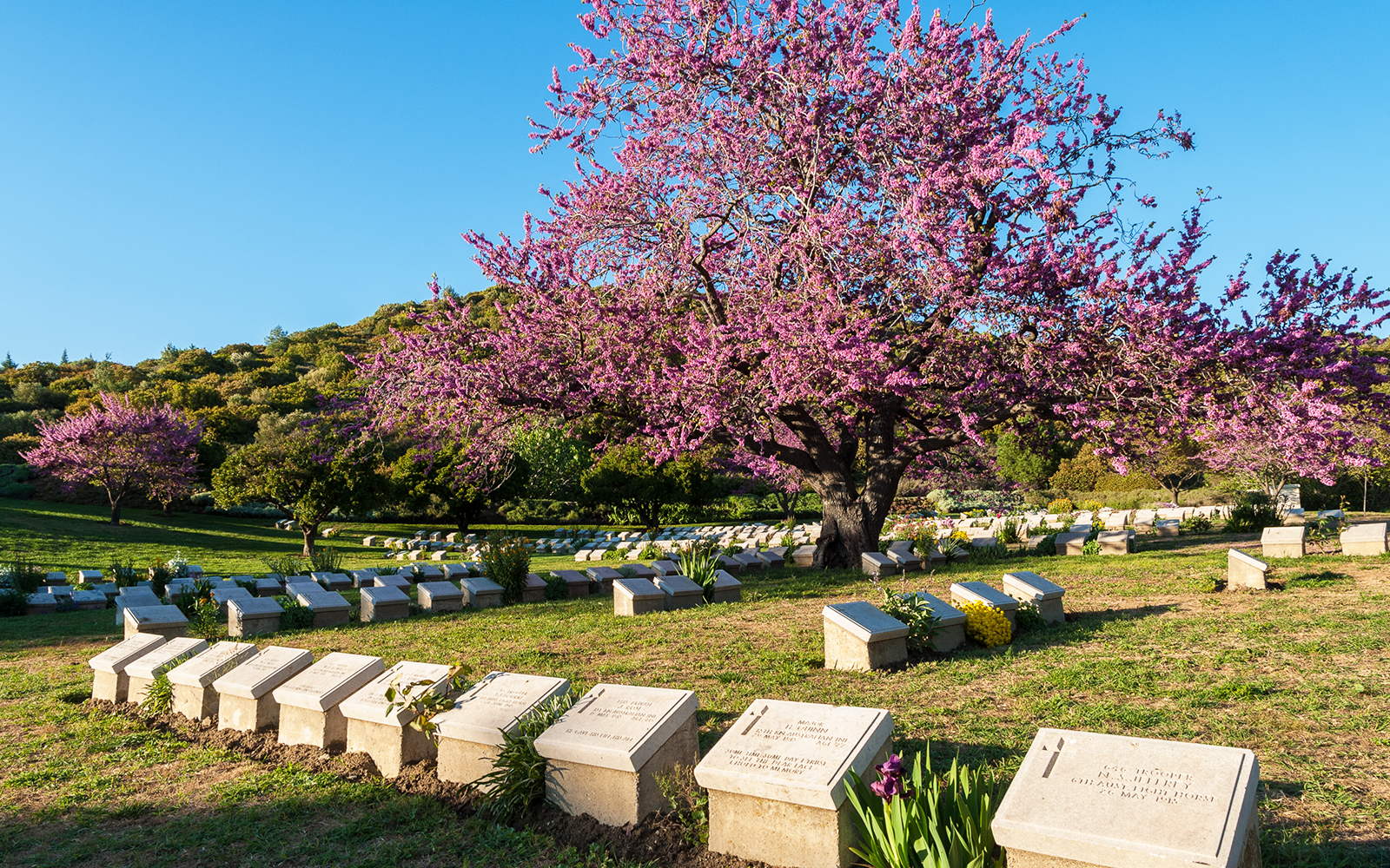 Guided Day Tour of Gallipoli Peninsula from Istanbul with Lunch tickets in Istanbul - Activities | TickYourList